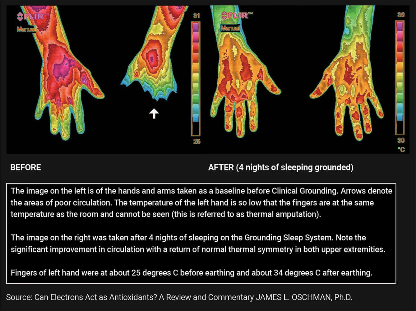 Vitala© Grounding Mat Pro